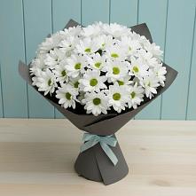Букет цветов из:  Хризантемы в Цильне
