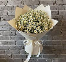 Букет цветов из:  Ромашки в Цильне