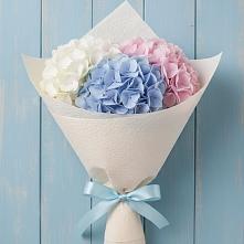 Букет цветов из:  Гортензия в Цильне