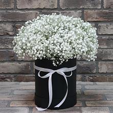 Цветочная композиция из Гипсофила в шляпной коробке в Цильне