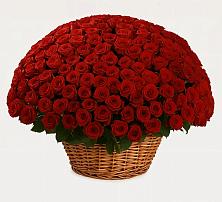 Премиум букет из: Розы в Цильне